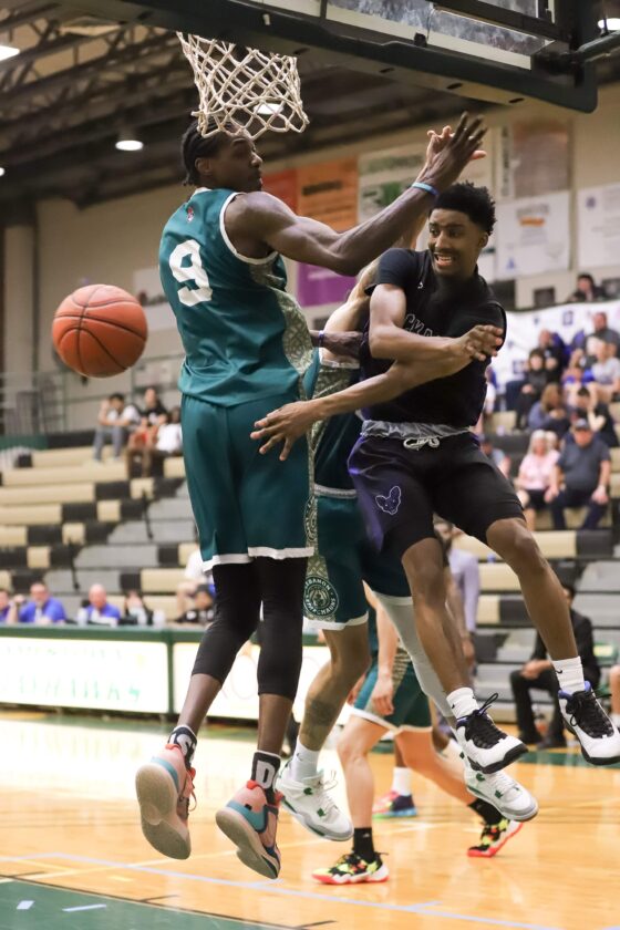 2024 season of Jamestown Jackals in question News, Sports, Jobs